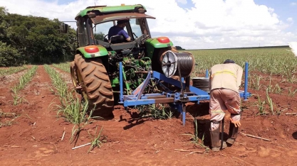 Setor precisa ser proativo, se preparar para as safras mais secas