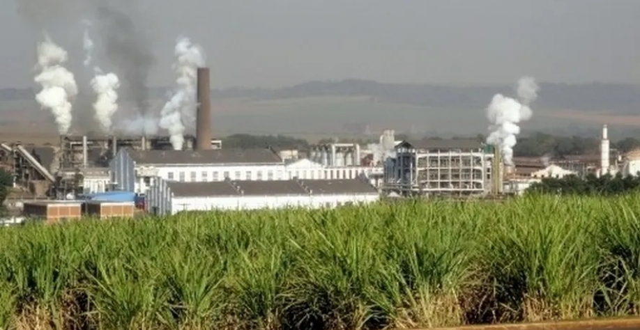 Usina da São Martinho — Foto: Divulgação