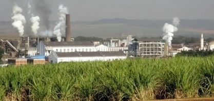 São Martinho eleva projeção de investimentos para safra 2023/24 em 10,5%