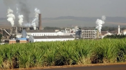 São Martinho eleva projeção de investimentos para safra 2023/24 em 10,5%