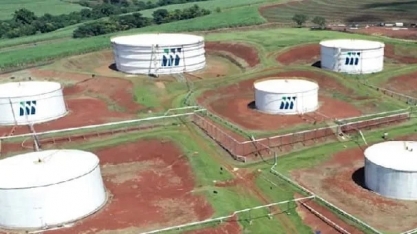 São Martinho (SMTO3): Lucro caixa cresce 25,8%, mas Ebitda ajusta recua 17%; veja