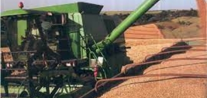 Grãos: IGC eleva estimativa para safra global 2023/24, a 2,295 bilhões de t