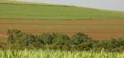 Nota de esclarecimento da Agrovale