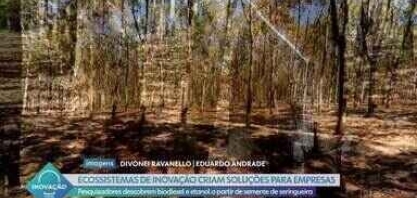 Pesquisadores do Paraná inovam e descobrem nova forma de fazer biodiesel e etanol