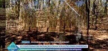 Pesquisadores do Paraná inovam e descobrem nova forma de fazer biodiesel e etanol