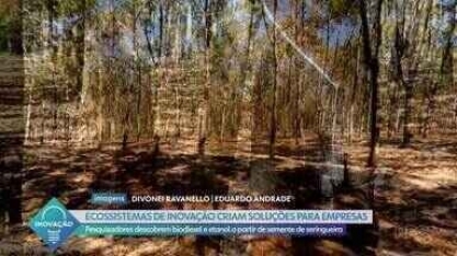 Pesquisadores do Paraná inovam e descobrem nova forma de fazer biodiesel e etanol