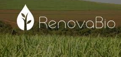 RenovaBio: ANP divulga metas atualizadas para as distribuidoras em 2023
