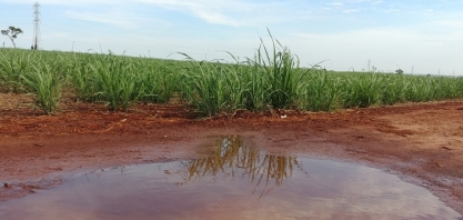 Onda de calor continua mas temporais vêm aí; veja previsão do tempo da semana