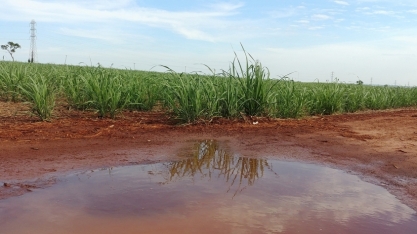 Onda de calor continua mas temporais vêm aí; veja previsão do tempo da semana