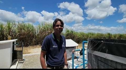 Usina São José, em Pernambuco, injeta fertilizante biológico no sistema de irrigação por gotejo