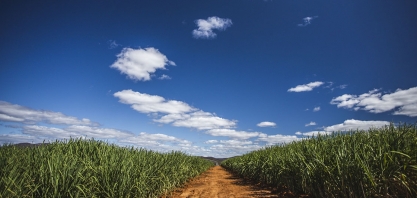 Em Minas Gerais, safra de cana-de-açúcar caminha para volume recorde 