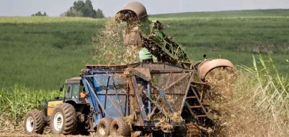 Açúcar sobe com chuvas que impedem colheita e embarques no Brasil