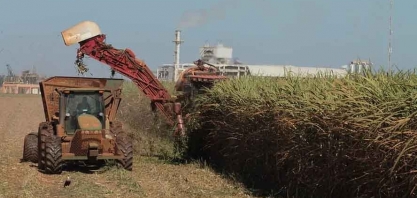 Preços do etanol e do açúcar caem no final de novembro, diz Cepea