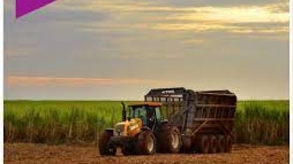 Raízen: Demanda forte justifica investimentos em etanol de 2ª geração, diz CEO