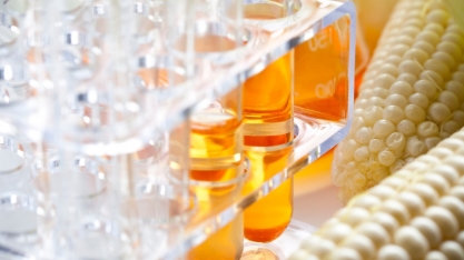 Como biomassa e resíduos da agropecuária entram na transição energética