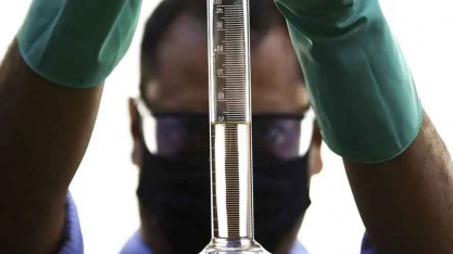 ANP aprova estudo para regulamentar estoque de carbono na cadeia de combustíveis