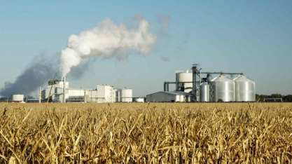 Etanol/EUA: produção avança 0,5% na semana, para 1,047 milhão de barris por dia