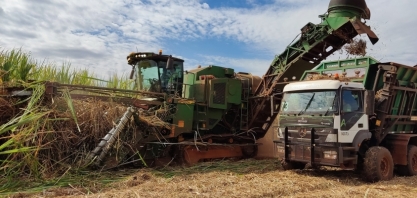 Produção de cana-de-açúcar cresce 10,9%, estimada em 677,6 milhões de toneladas na safra 2023/24