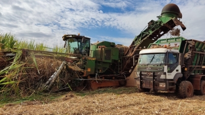 Produção de cana-de-açúcar cresce 10,9%, estimada em 677,6 milhões de toneladas na safra 2023/24