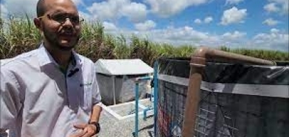 Opção de biofábrica de adubo biológico com menor dimensão deve atender pequenos e médios produtores de cana