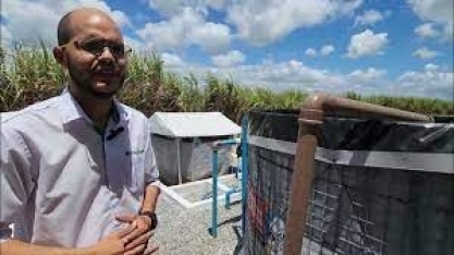 Opção de biofábrica de adubo biológico com menor dimensão deve atender pequenos e médios produtores de cana