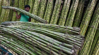 Governo da Tailândia vai reverter alta do açúcar no mercado interno