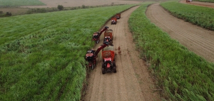 Usina Santa Terezinha abre inscrições para o Programa de Residência em Agronomia