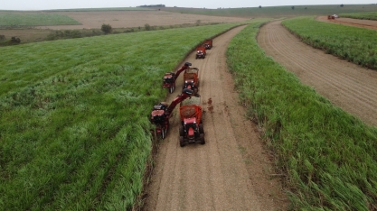 Usina Santa Terezinha abre inscrições para o Programa de Residência em Agronomia