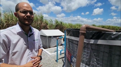 Opção de biofábrica de adubo biológico com menor dimensão deve atender pequenos e médios produtores