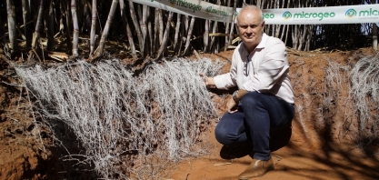 Produtores de cana-de-açúcar alcançam importantes resultados com inovação no manejo biológico