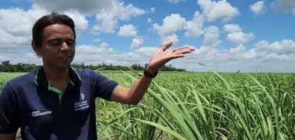 Usina São José, em Pernambuco, desenvolve método inédito que injeta fertilizante biológico no sistema de irrigação por gotejo