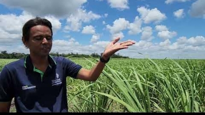 Usina São José, em Pernambuco, desenvolve método inédito que injeta fertilizante biológico no sistema de irrigação por gotejo