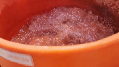 Em Pernambuco, Usina São José desenvolve método que injeta adubo no sistema de baixa pressão