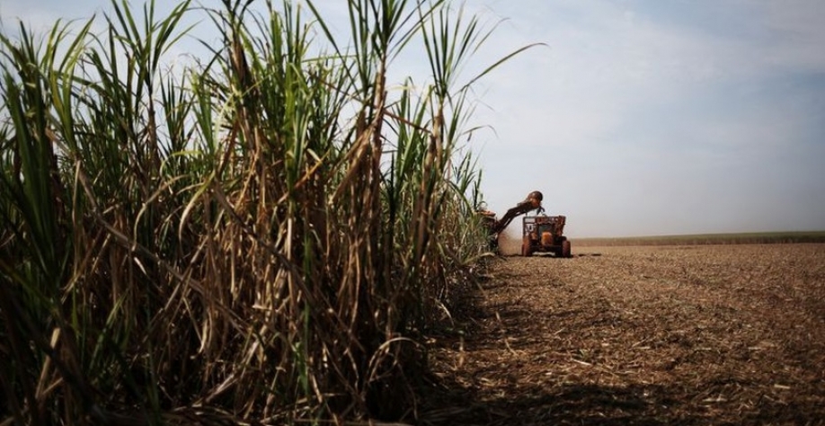 Imagem ilustrativa - Foto: Arquivo