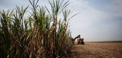 Asplana aponta que safra segue ritmo esperado de moagem