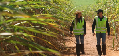 Sucessão familiar: produtor investe em formação e aumenta em eficiência da operação de cana-de-açúcar