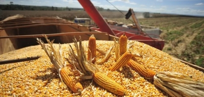 Projeto de primeira usina de etanol de milho em TO começa a sair do papel