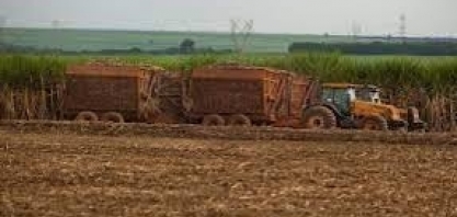 Açúcar: perspectivas de colheita do açúcar no Hemisfério Norte; confira análises da hEDGEpoint