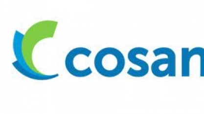 Cosan: Nelson Gomes assume presidência em substituição a Luis Henrique Guimarães