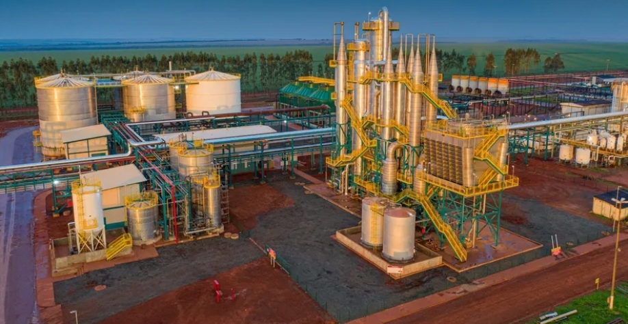 Receita líquida da CerradinhoBio caiu 9%, para R$ 1,26 bilhão, no primeiro semestre da temporada — Foto: Divulgação 