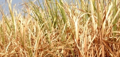 Vem aí o verão, com mais calor e pouca chuva no Brasil