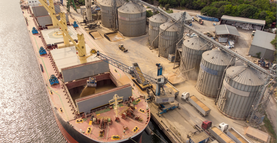 Safra recorde de soja e embarques crescentes deram o tom a 2023. Sandsun_Guetty