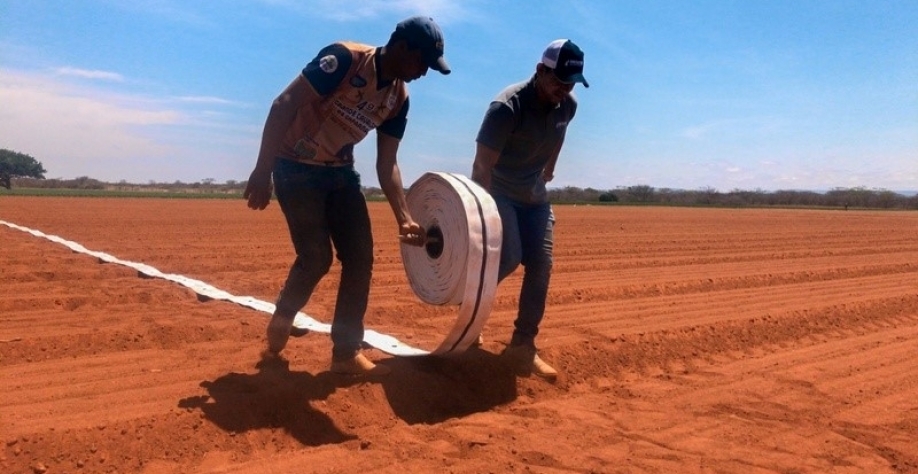 Carreteis e tubos flexíveis são as melhores opções para a irrigação de salvamento. Foto: Divulgação Netafim
