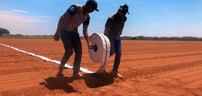 Estratégia de irrigação mais eficiente alia salvamento e deficitária. Saiba mais sobre cada uma dessas modalidades