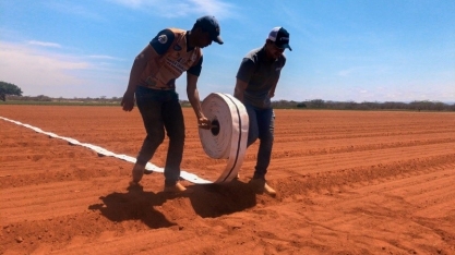 Estratégia de irrigação mais eficiente alia salvamento e deficitária. Saiba mais sobre cada uma dessas modalidades