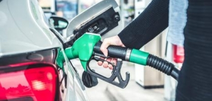 APLA participa de discussões sobre bioenergia durante COP28