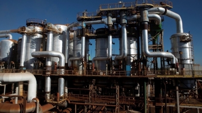 BP Bunge abre inscrições para os Programas Trainees e Engenheiras(os) 2024