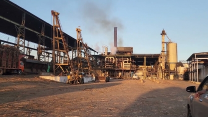 CooafSul surgiu em momento de crise com o fechamento de usinas em PE, e se tornou um caso de sucesso