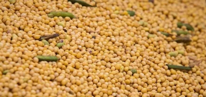Soja: indústria prevê demanda de 50 milhões de toneladas a mais com novo aumento na mistura do biodiesel
