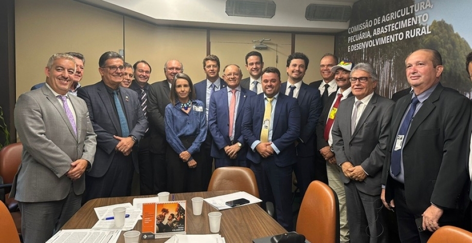 José Guilherme Nogueira, CEO da ORPLANA, em reunião dos produtores de cana, governo e usinas, juntamente com os deputados Coronel Meira e Ricardo Salles, para possível acordo na votação da PL 3149/2020 - RenovaBio. Votação recebeu vistas e deve ser conclu